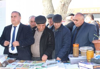 Xaçmaz rayonunda Aqrar İnnovasiya Festivalı keçirilib.