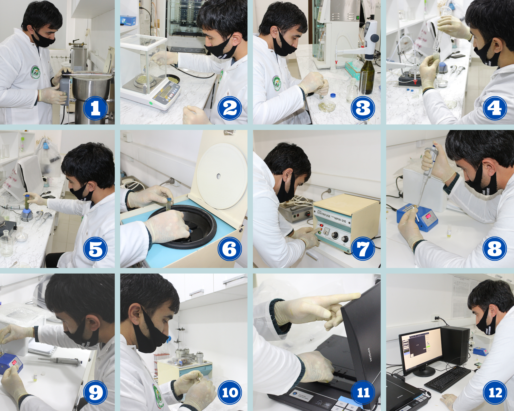 Determination of toxins in the fodder plant