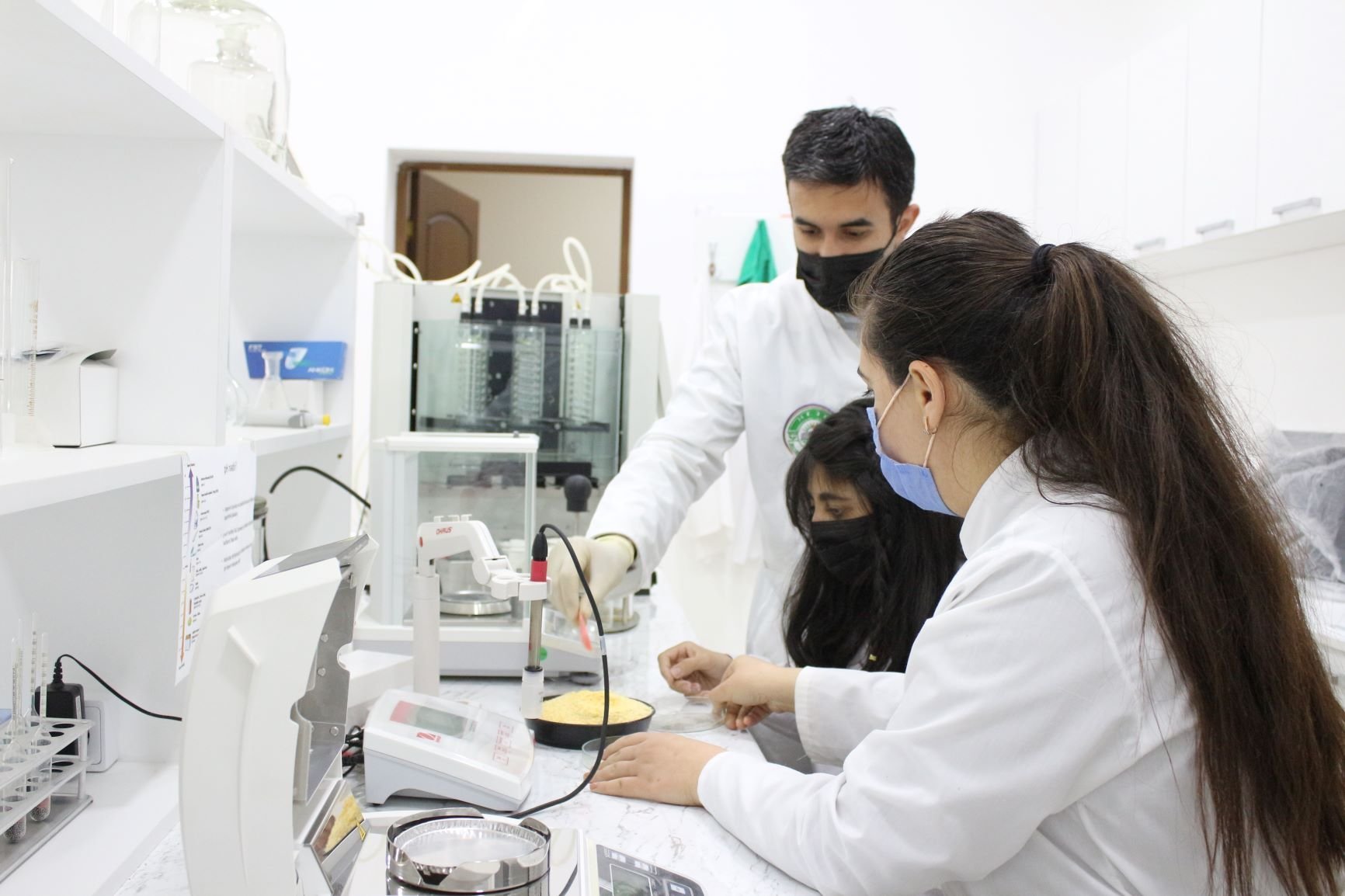 Production experience at the Scientific Research Institute of Animal Husbandry