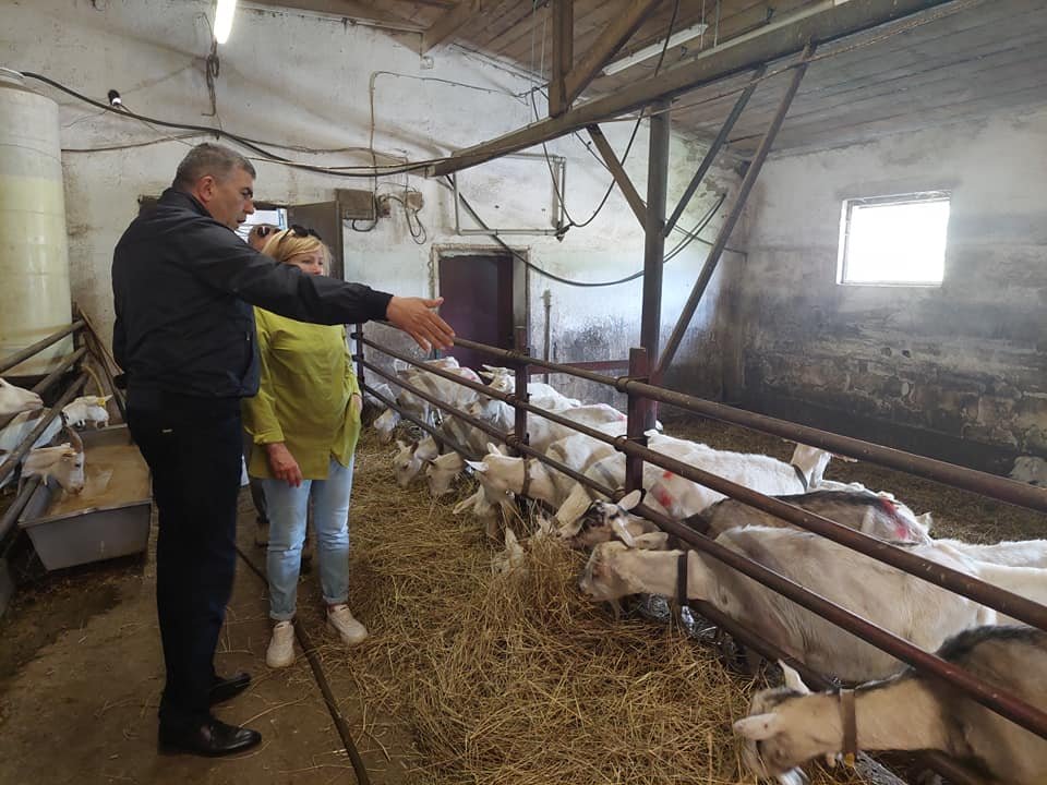 Representatives of the Scientific Research Institute of Animal Husbandry visited the Goat Farm located on the outskirts of Minsk