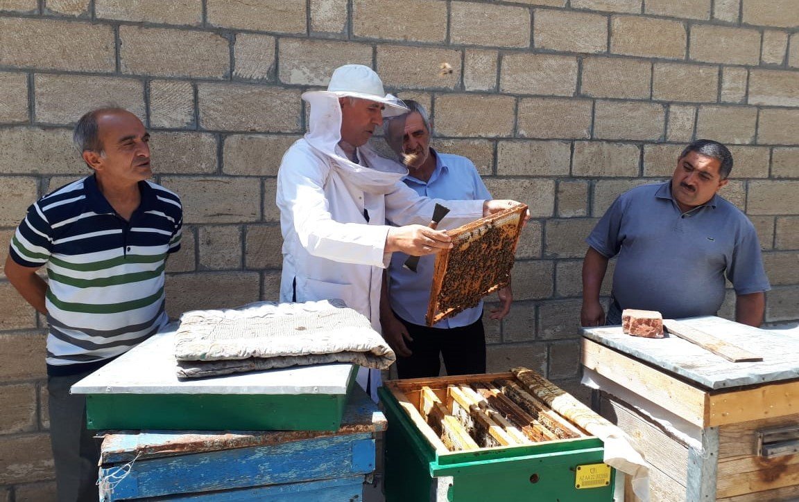 Employees of the "Beekeeping" Center visited the apiary of beekeeper Huseyn Ibrahimov in Fakhrali village of Goranboy district