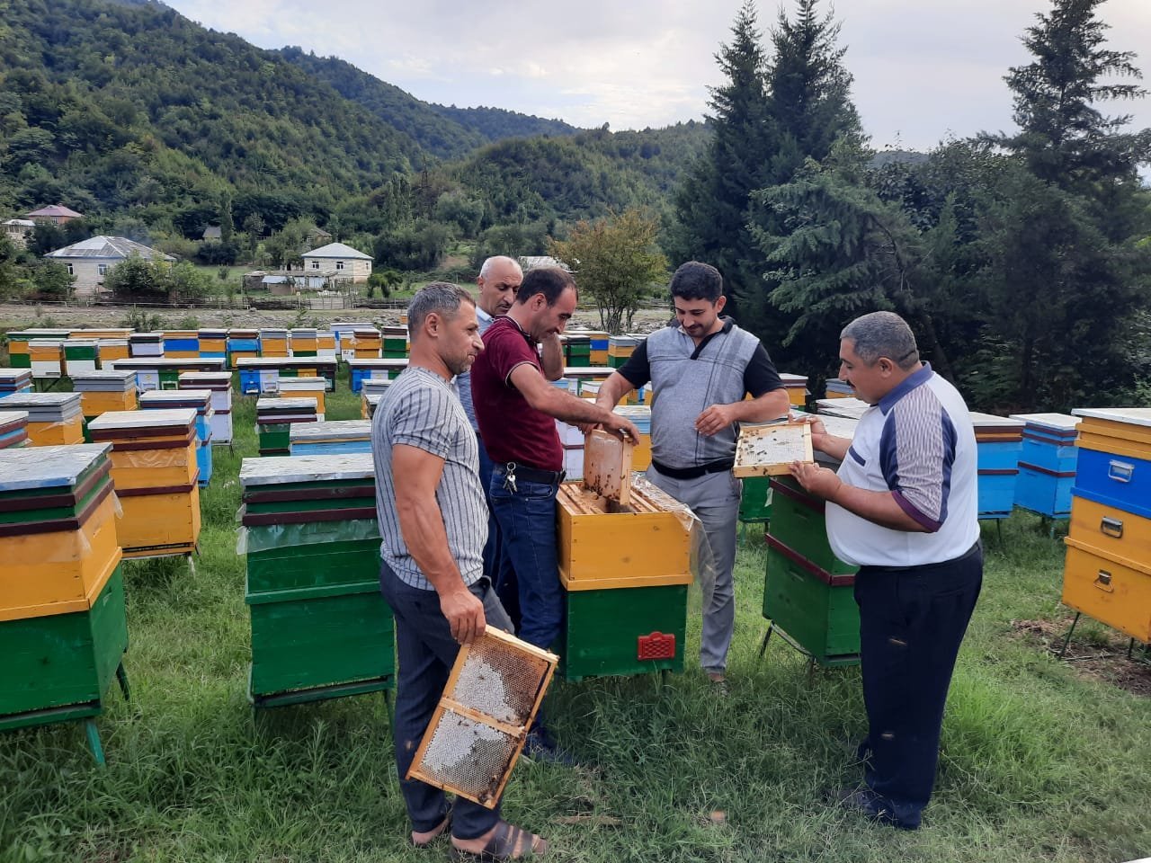 The director of "Beekeeping" Center visited Lankaran