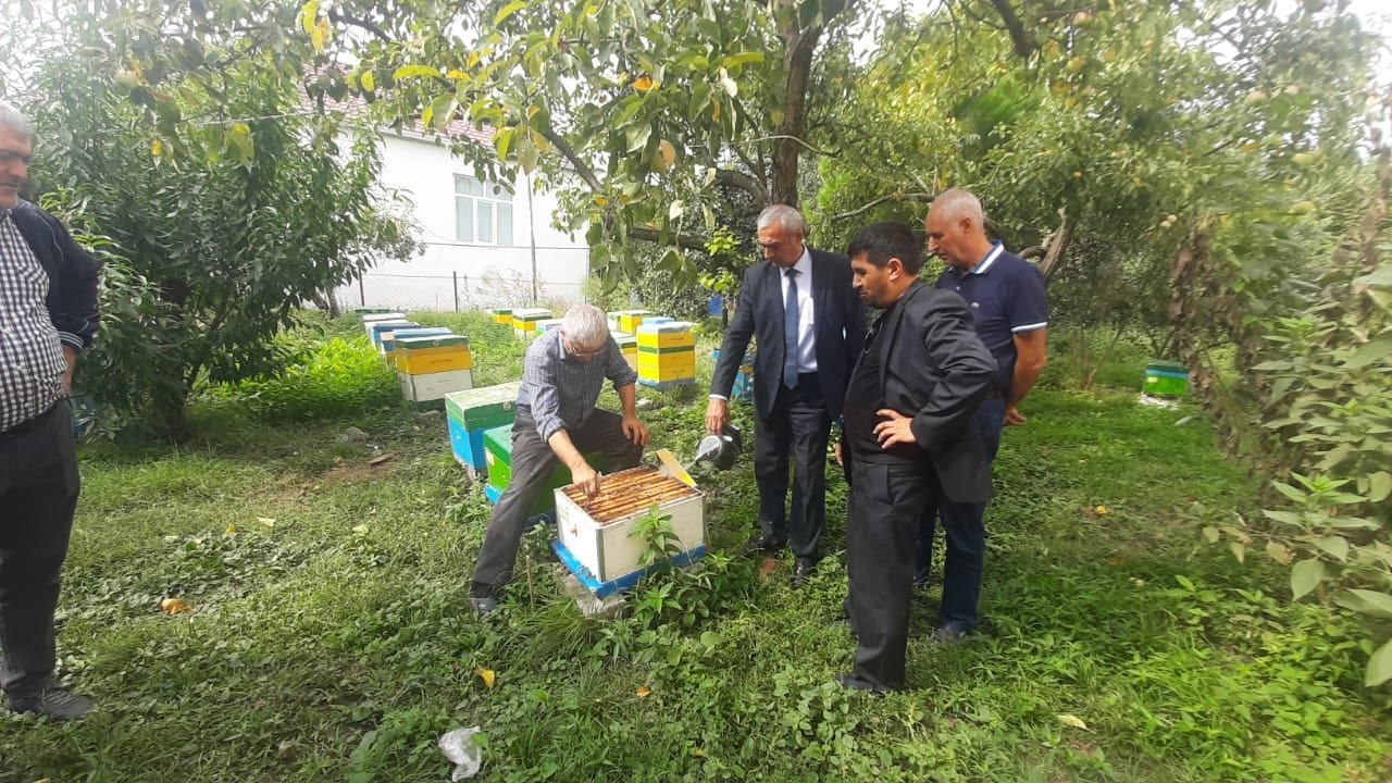 Employees of "Ariçıkım" Center visited the beekeeping farm in Balakan district