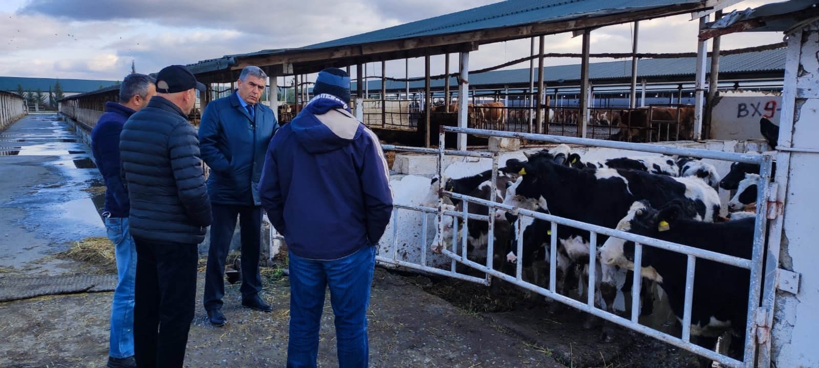 SRIAH  director Mahir Hajiyev visited the "Turyanchay FT LLC" farm located in Agdash district