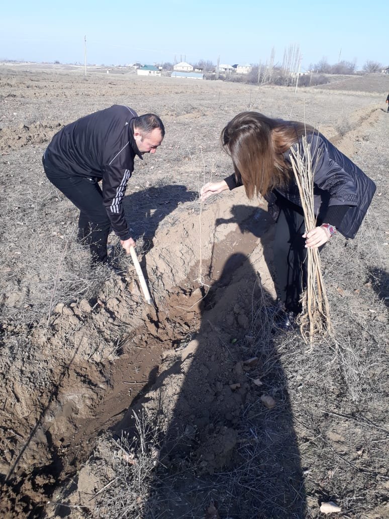 Work done in connection with the start of spring feeding of the mulberry silkworm.