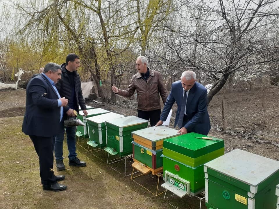 The delegation of the "Beekeeping" Center continues its monitoring in the regions.