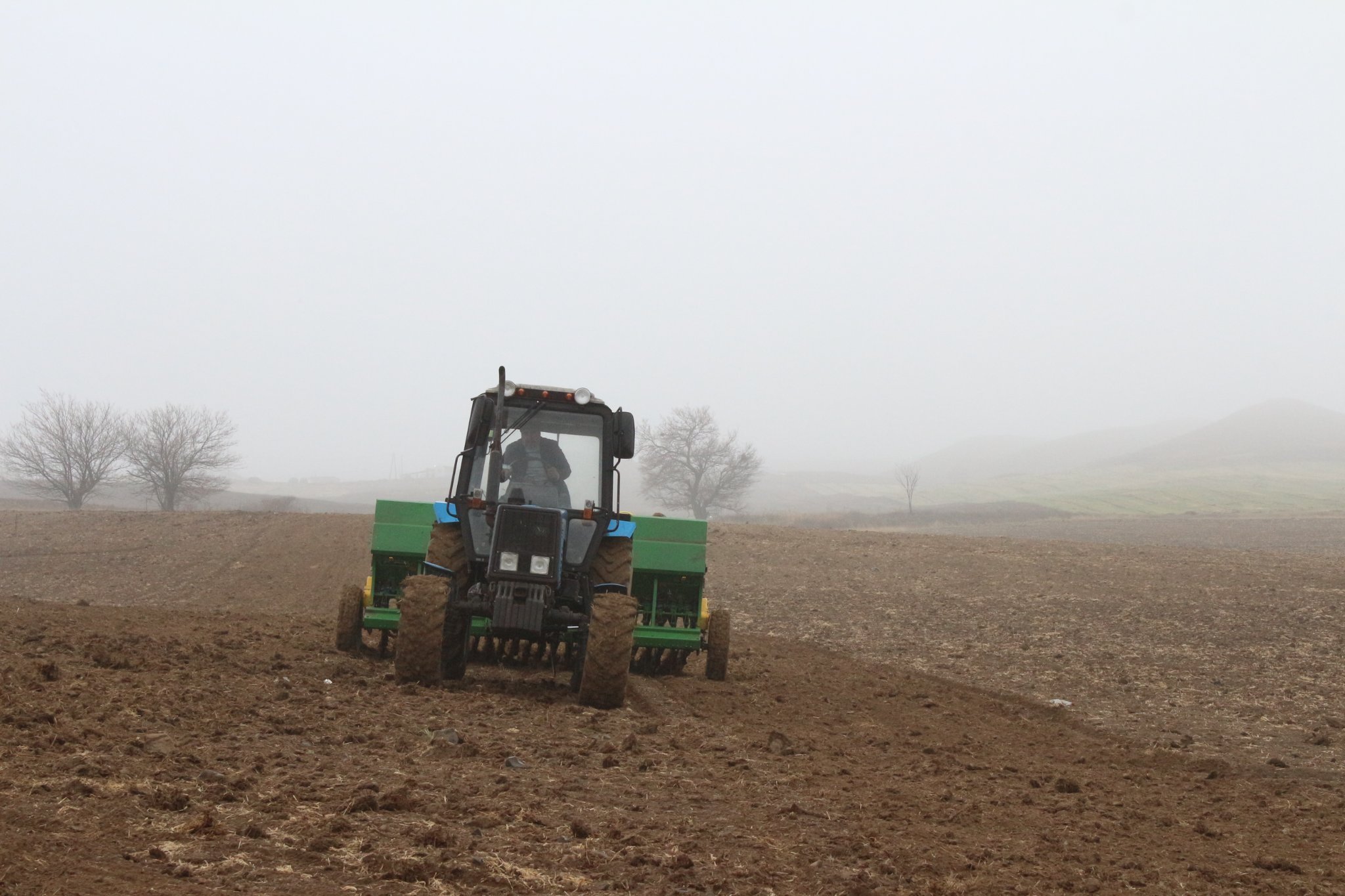 Trial planting by FAO in the auxiliary experimental farm of the Scientific Research Institute of Animal Husbandry.