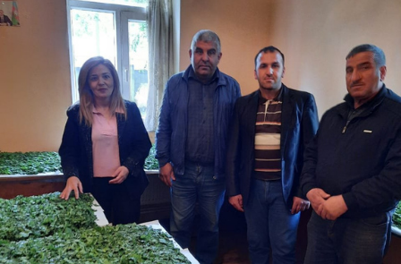 Rasima Huseynova, an employee of the Scientific Research Institute of Animal Husbandry, met with farmers in Samukh district