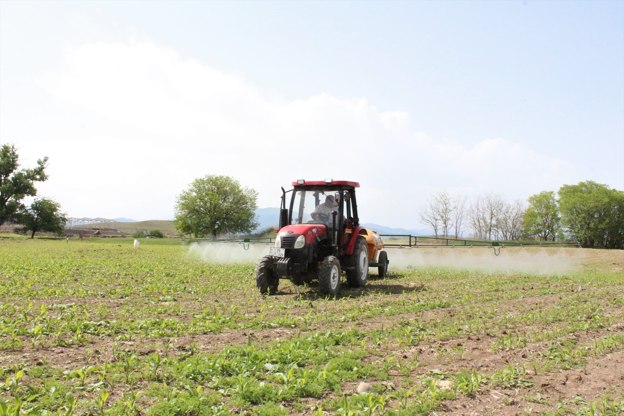 Application of herbicides against one-year dicotyledonous weeds in the agricultural area of the Scientific Research Institute of Animal Husbandry has been started.