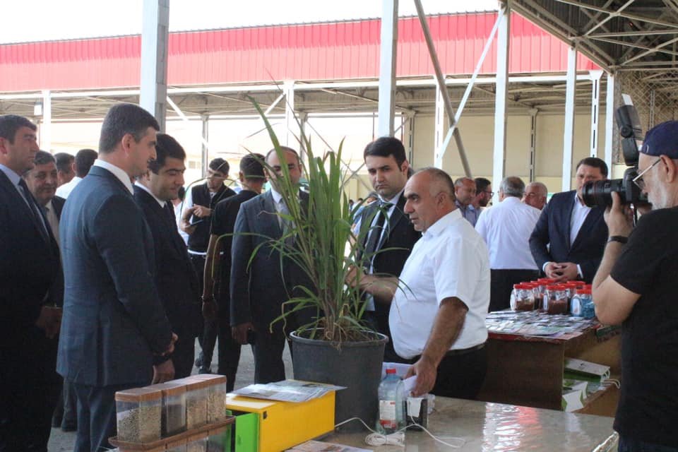 The next Agrarian Innovation Festival was held in Agstafa district.