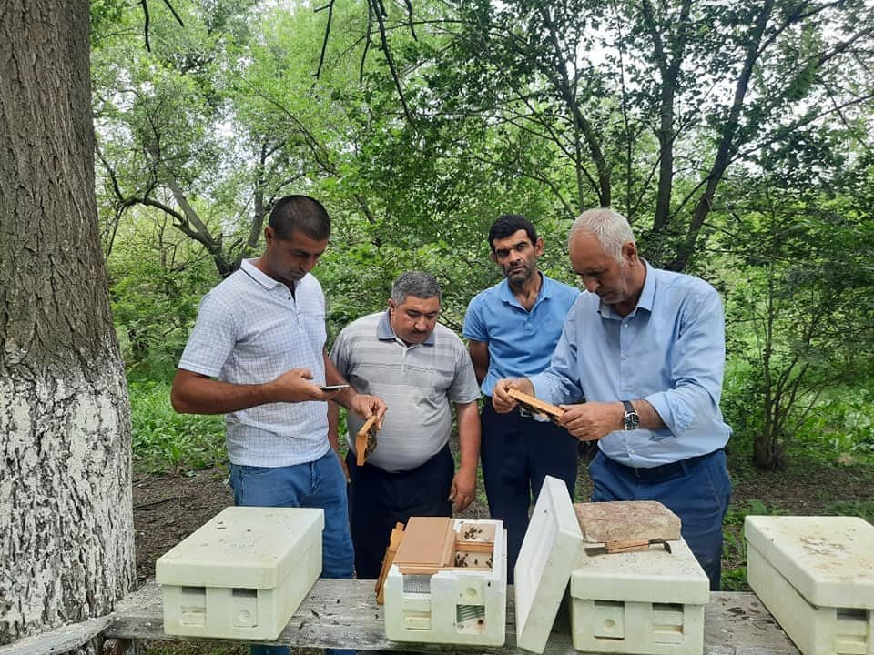 "Beekeeping" Center of SRIAH cooperates with beekeepers.