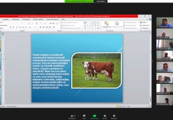 An online training was held on the topic of "maintenance, feeding, feeding, rearing of breeding cattle according to zoohygienic regulations"