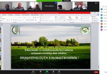 An online training was held on "Requirements for keeping conditions of ruminant cattle and small cattle".