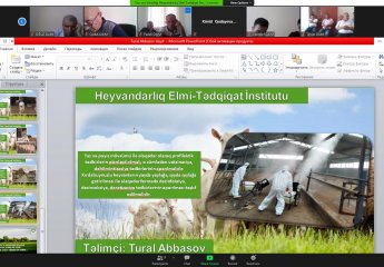 An online training was held on "Requirements for keeping conditions of ruminant cattle and small cattle".