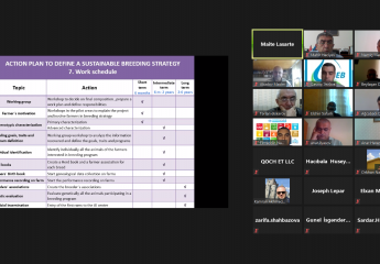 An online meeting was held to discuss the "Presentation of the evaluation report on the Azerbaijan Sheep Breeding Strategy"