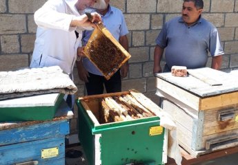 Employees of the "Beekeeping" Center visited the apiary of beekeeper Huseyn Ibrahimov in Fakhrali village of Goranboy district