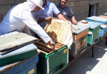 Employees of the "Beekeeping" Center visited the apiary of beekeeper Huseyn Ibrahimov in Fakhrali village of Goranboy district