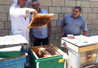 Employees of the "Beekeeping" Center visited the apiary of beekeeper Huseyn Ibrahimov in Fakhrali village of Goranboy district