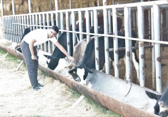 The participants of the "Agriculture of Tomorrow" Summer School project visited the Livestock Science and Research Institute