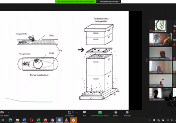 An online training was held on "Summer jobs in the apiary"