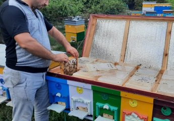 The director of "Beekeeping" Center visited Lankaran