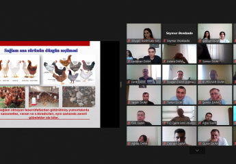 Online training on "Organization of small poultry farms" was held