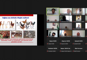 Online training on "Organization of small poultry farms" was held