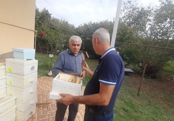 Employees of "Ariçıkım" Center visited the beekeeping farm in Balakan district