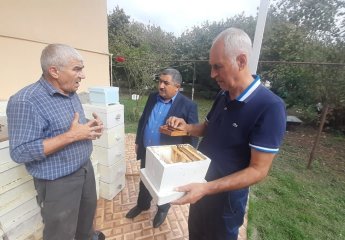 Employees of "Ariçıkım" Center visited the beekeeping farm in Balakan district