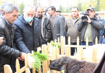 The presentation ceremony of the green fodder production complex project was held