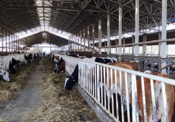 SRIAH  director Mahir Hajiyev visited the "Turyanchay FT LLC" farm located in Agdash district