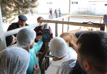 The course "Ultrasound determination of fertility in cows" was successfully completed