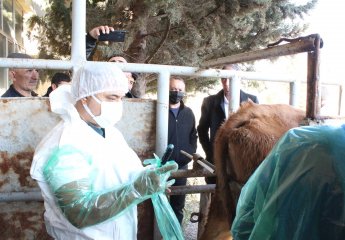 The course "Ultrasound determination of fertility in cows" was successfully completed