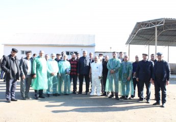 The course "Ultrasound determination of fertility in cows" was successfully completed