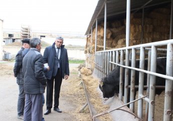 Employees of the International Committee of the Red Cross visited SRIAH