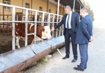 Alexander Deshko, an employee of the Grodno State Agrarian University of the Republic of Belarus, became familiar with the activities of the Animal Husbandry Scientific Research Institute.