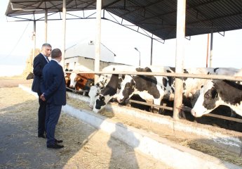 Alexander Deshko, an employee of the Grodno State Agrarian University of the Republic of Belarus, became familiar with the activities of the Animal Husbandry Scientific Research Institute.