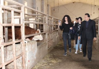 Students on a field trip