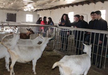 Students on a field trip