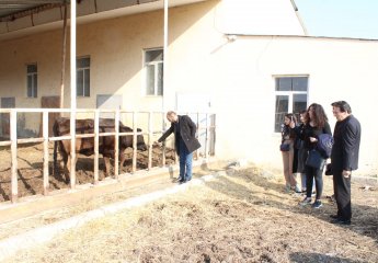 Students on a field trip