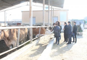 Students on a field trip