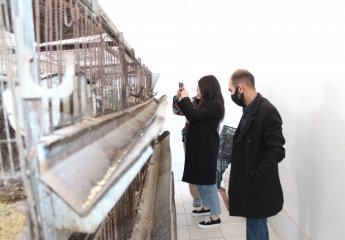 Students on a field trip