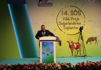 Employees of the Ministry of Agriculture and the Animal Husbandry Scientific Research Institute participated in the "XIV Pedigree, Primary Pedigree and Fetus Campaign Management - Annual Project Evaluation and Training Meeting" in Turkey.