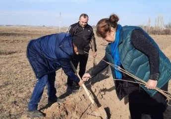 Work done in connection with the start of spring feeding of the mulberry silkworm.