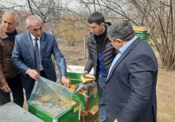 The delegation of the "Beekeeping" Center continues its monitoring in the regions.