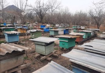 The delegation of the "Beekeeping" Center continues its monitoring in the regions.