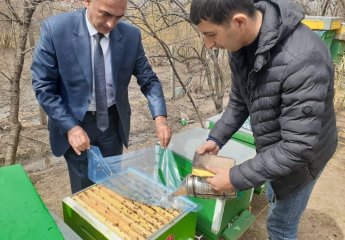 The delegation of the "Beekeeping" Center continues its monitoring in the regions.