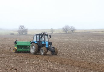 Trial planting by FAO in the auxiliary experimental farm of the Scientific Research Institute of Animal Husbandry.