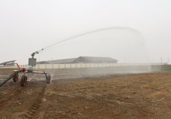 Trial planting by FAO in the auxiliary experimental farm of the Scientific Research Institute of Animal Husbandry.