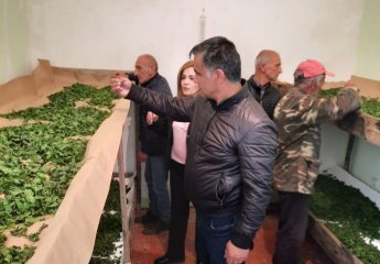 Rasima Huseynova, an employee of the Scientific Research Institute of Animal Husbandry, met with farmers in Samukh district